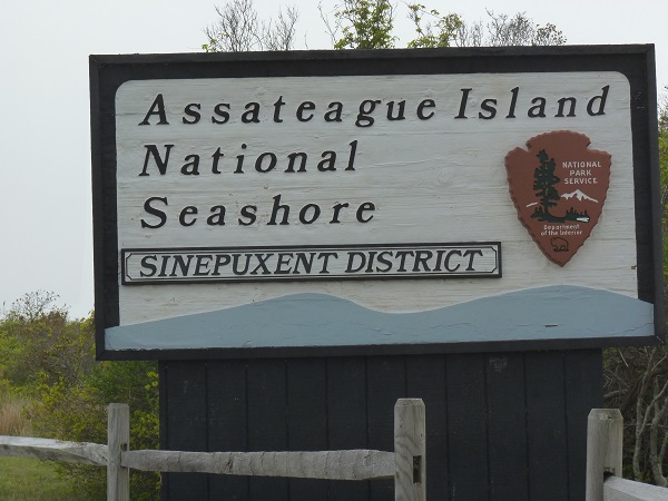 Assateague-Island-National-Seashore